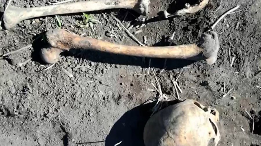 esqueleto encontrado en Rusia 0605218