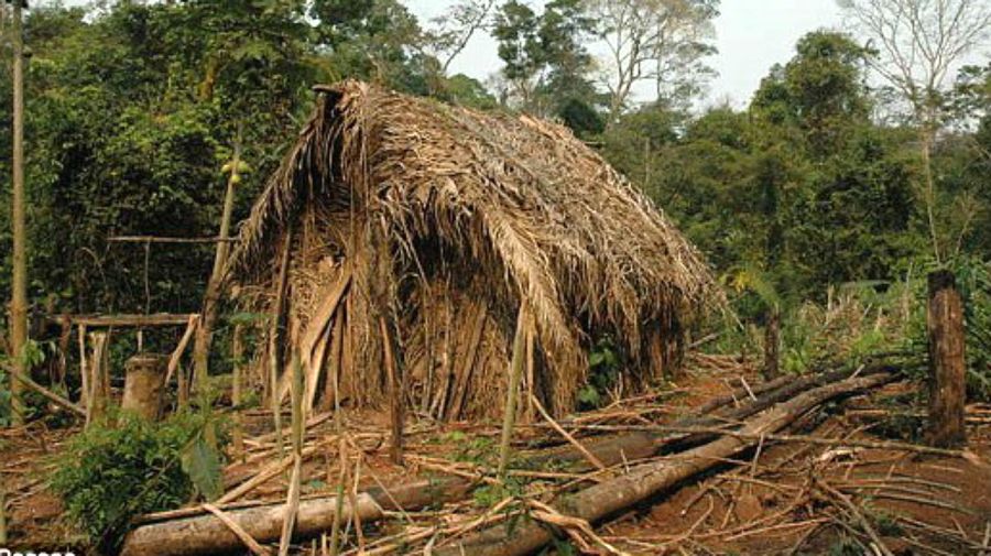 La choza del indígena solitario de Rondonia, en el límite amazónico de Brasil con Bolivia.