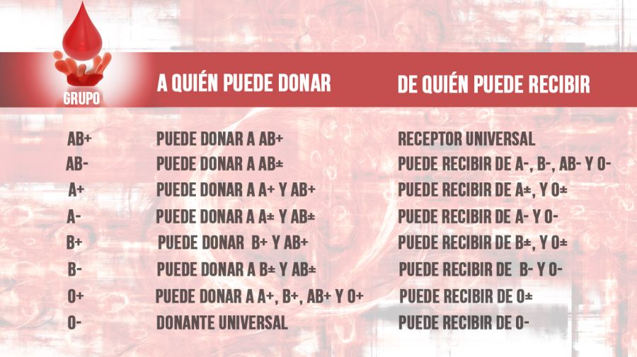 10 Cosas Que Tenes Que Saber Antes De Donar Sangre Perfil