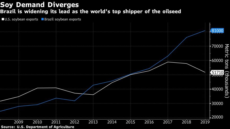 Brazil is widening its lead as the world's top shipper of the oilseed