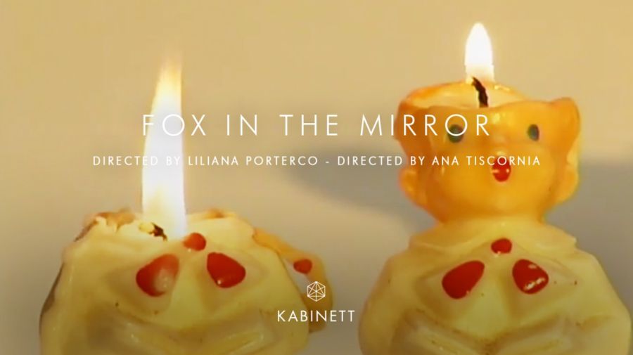 Fox In The Mirror, Liliana Porter 30012019