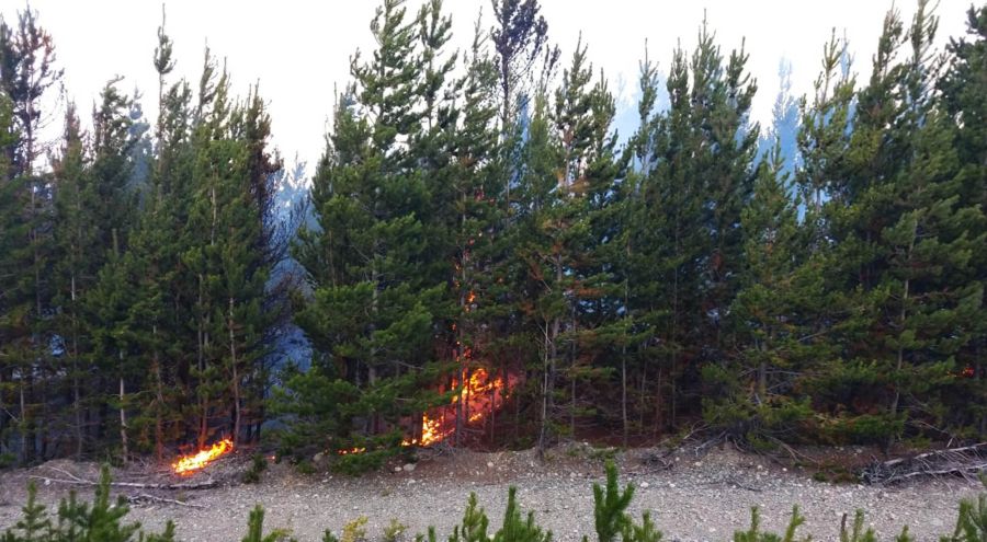 fire-chubut-30-01-2019