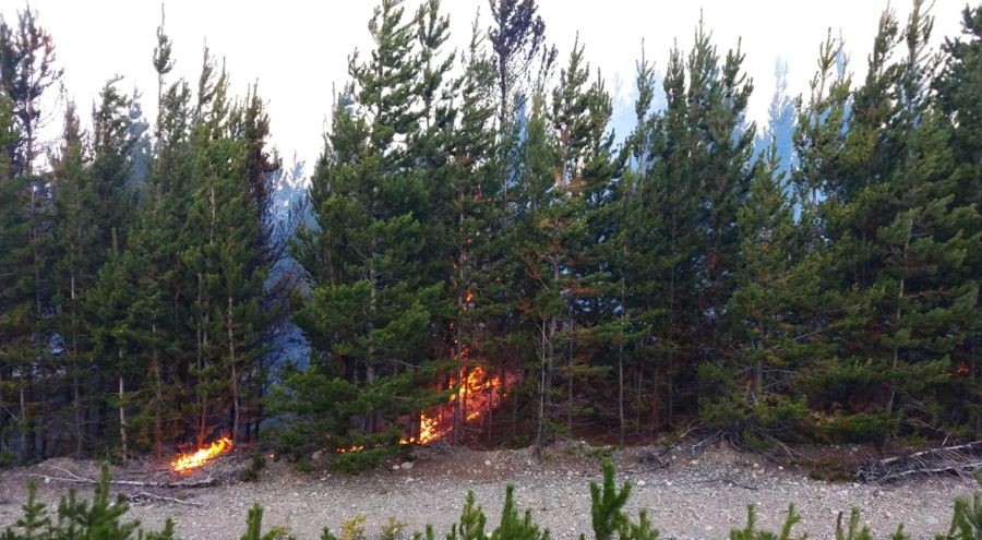 incendio-chubut-30-01-2019