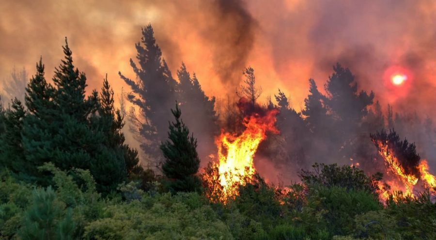 fire-chubut-30-01-2019