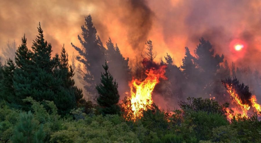 incendio-chubut-30-01-2019