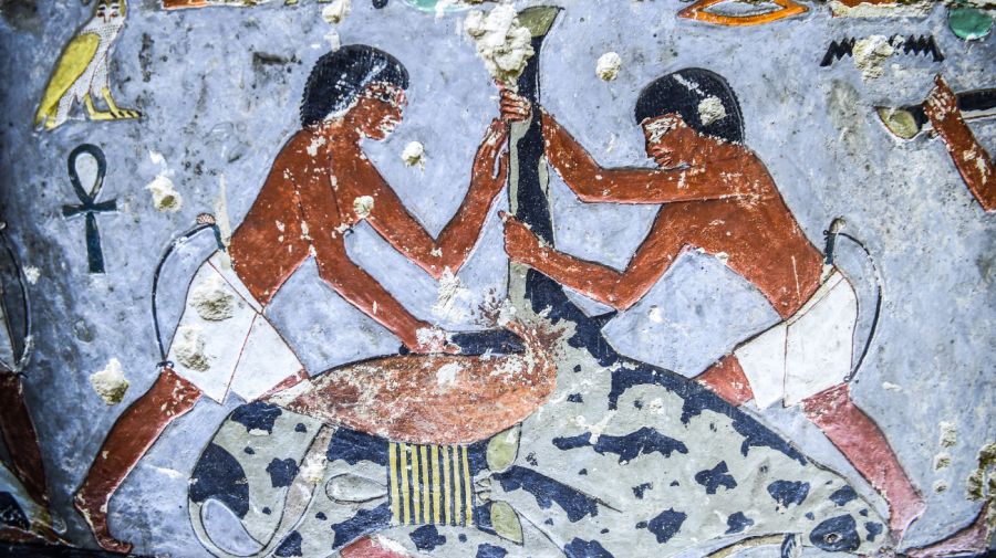 Egipto presentó una llamativa tumba de la V dinastía.