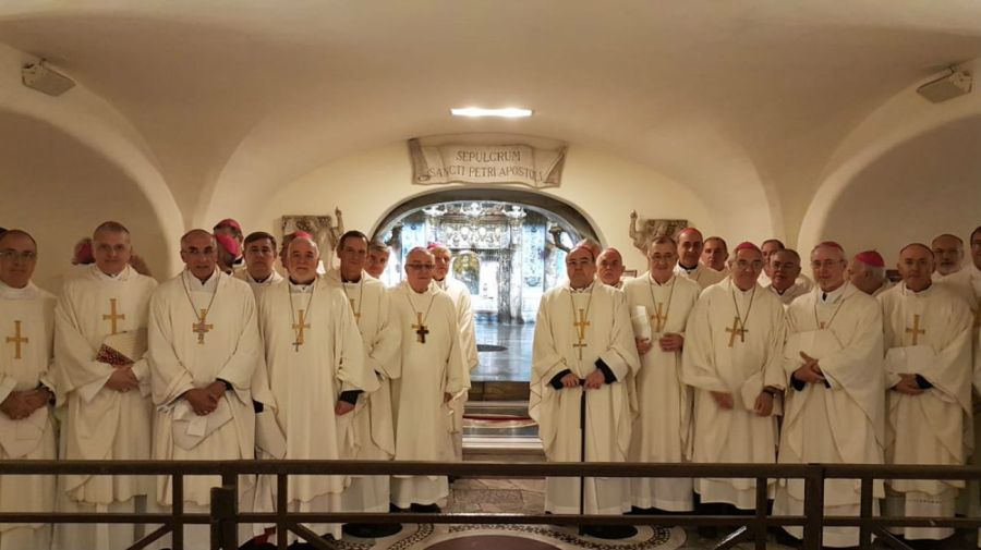 Los obispos que viajaron hasta Roma para reunirse con el papa Francisco.