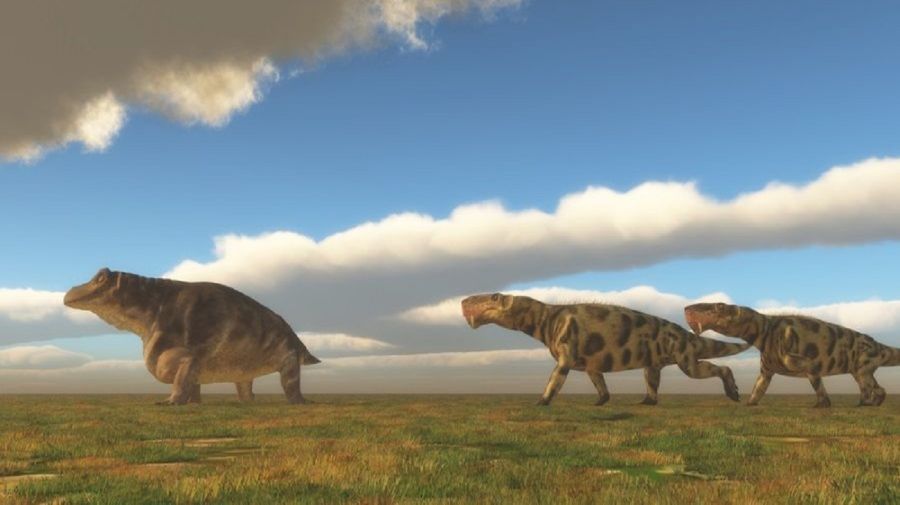 Las cinco grandes extinciones masivas en la historia de la Tierra.