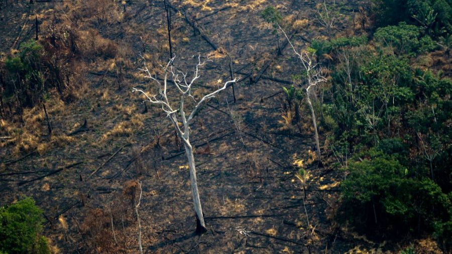 incendio amazonia brasil afp 