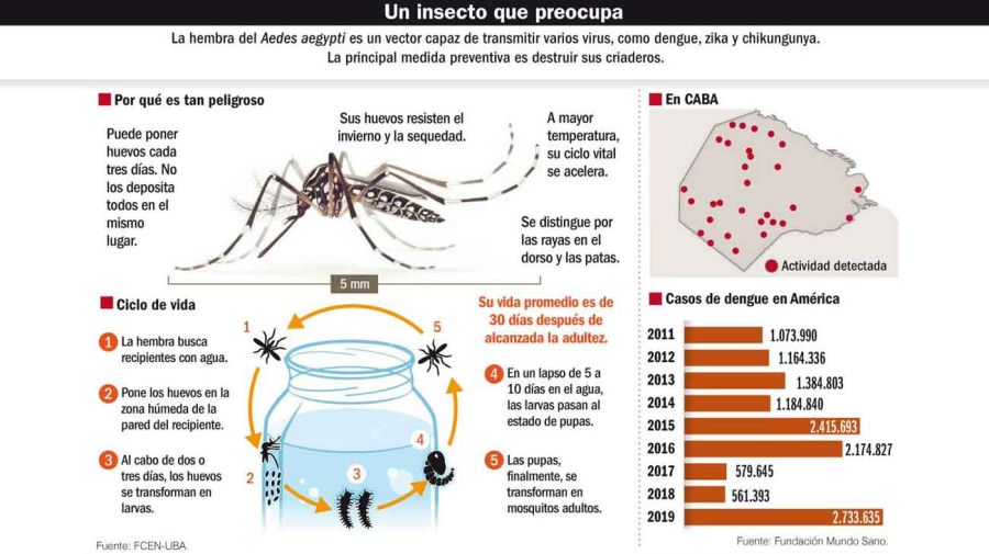 20191124_mosquito_dengue_infografia_g.jpg