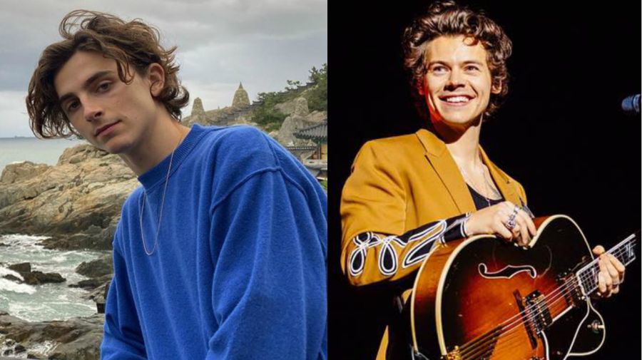 timothee chalamet harry styles 0208