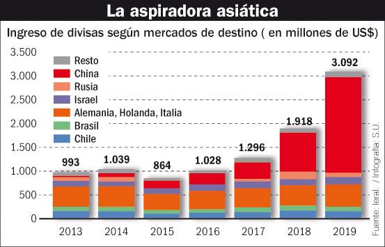 La aspiradora asiática.