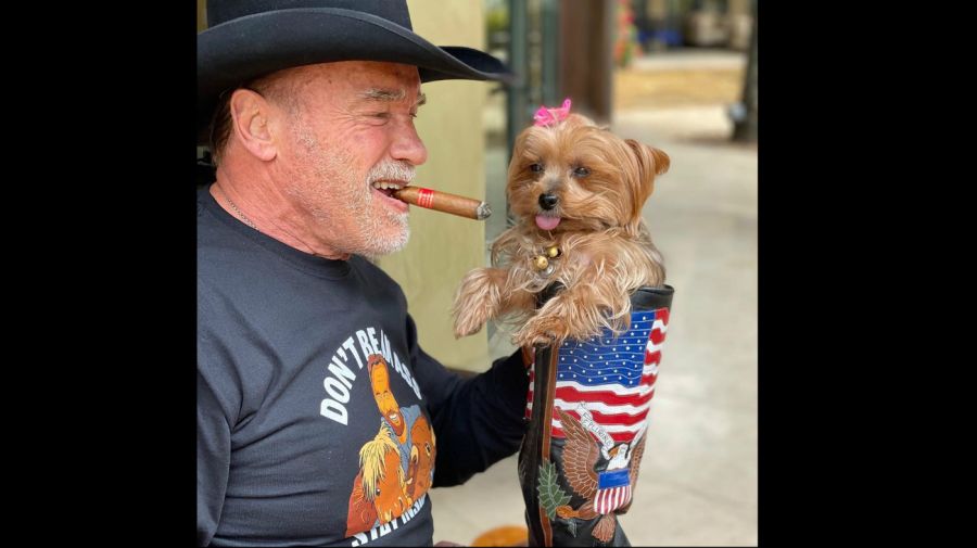 Arnold Scwarzenegger y su perro