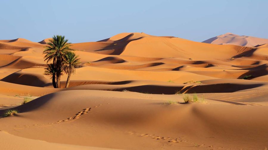 desierto sahara 20201021