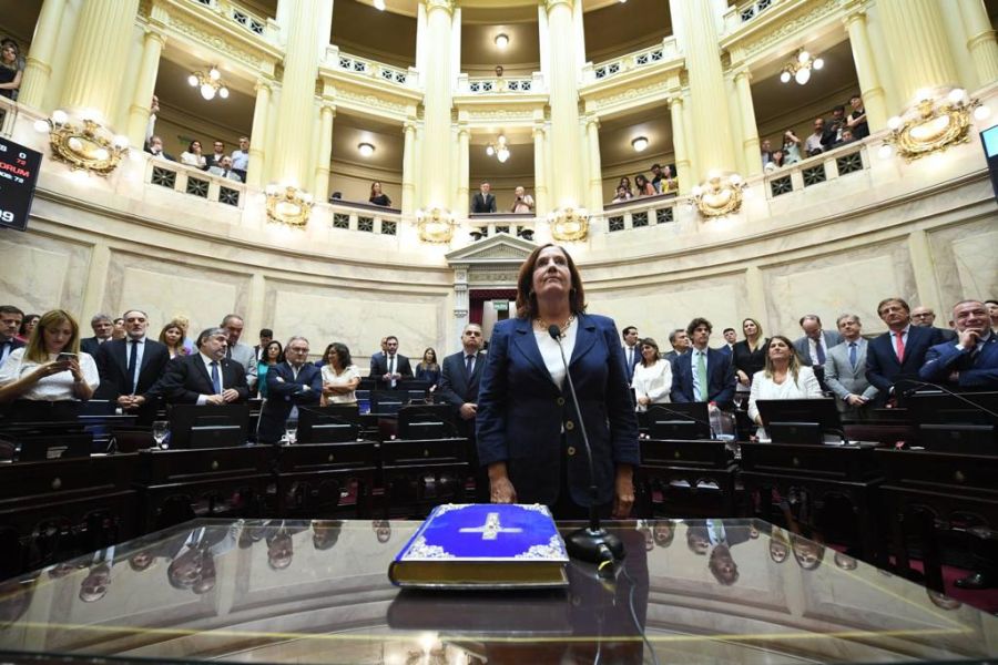 Alejandra Vigo aumenta su presencia en el Senado