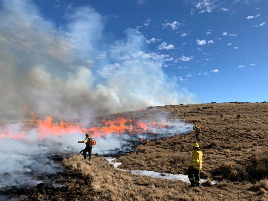 Combate contra el fuego