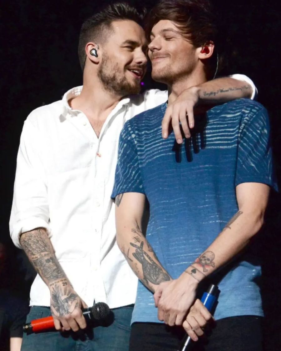 Liam Payne y Louis Tomlinson