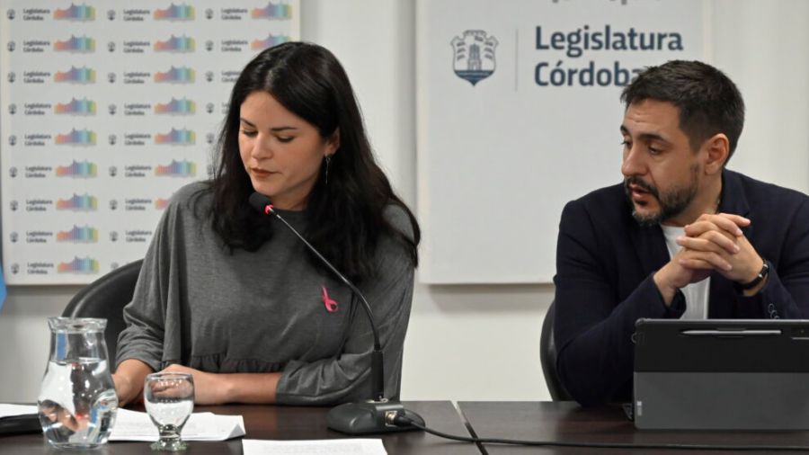 Legisladores en Comision