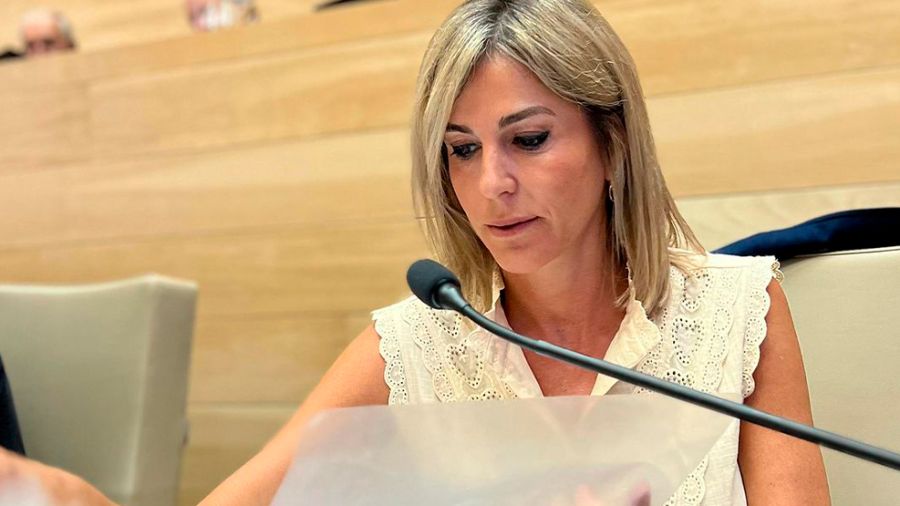 Alejandra Ferrero en la legislatura