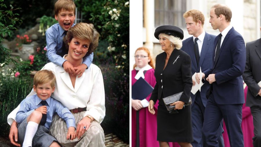 Harry y William