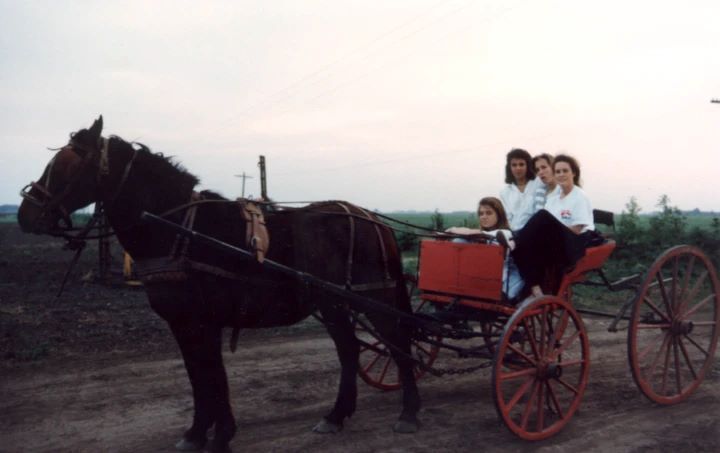 En Pergamino, Máxima al comando de una carreta tirada por un caballo.