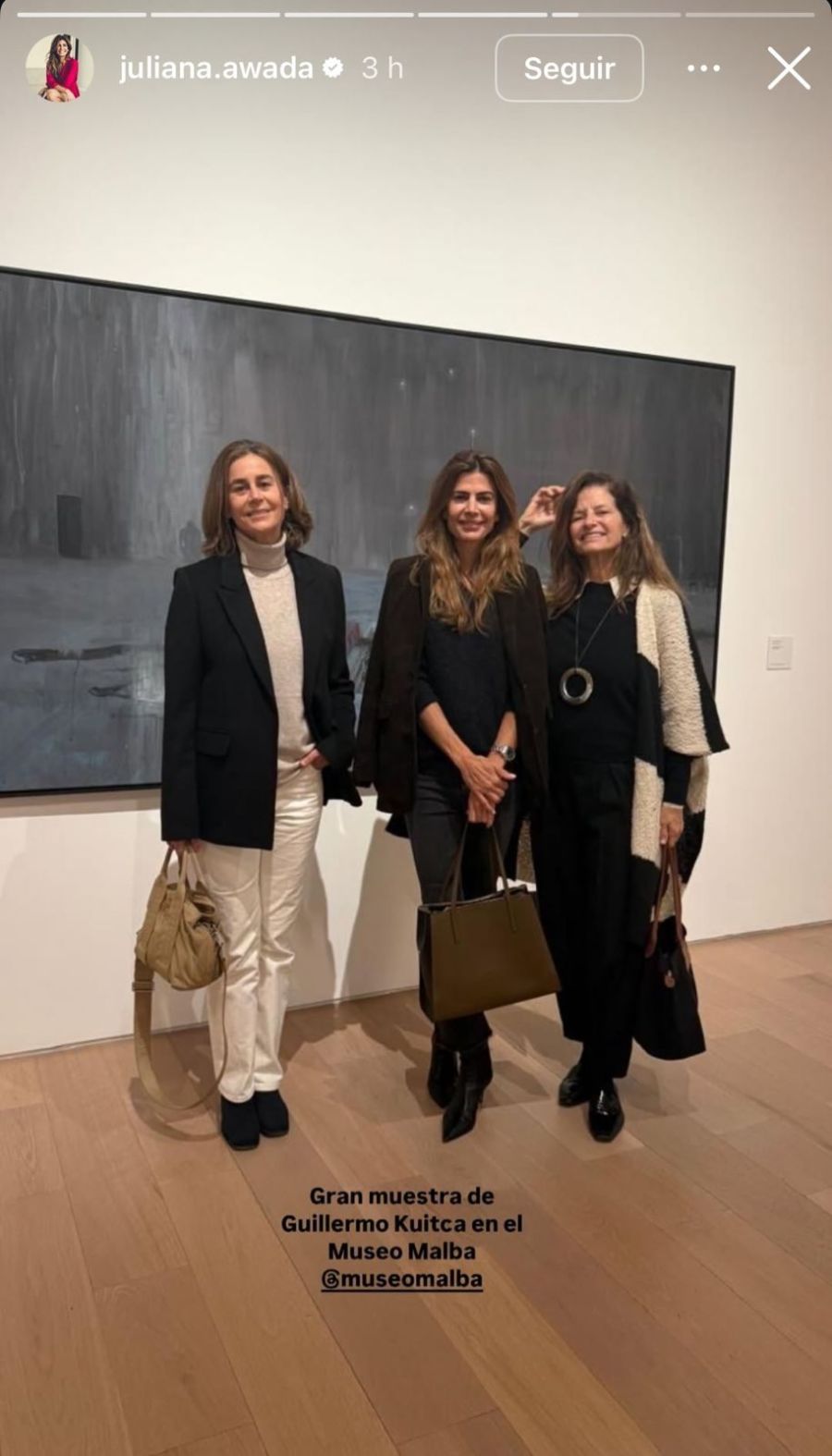 Juliana Awada en el MALBA