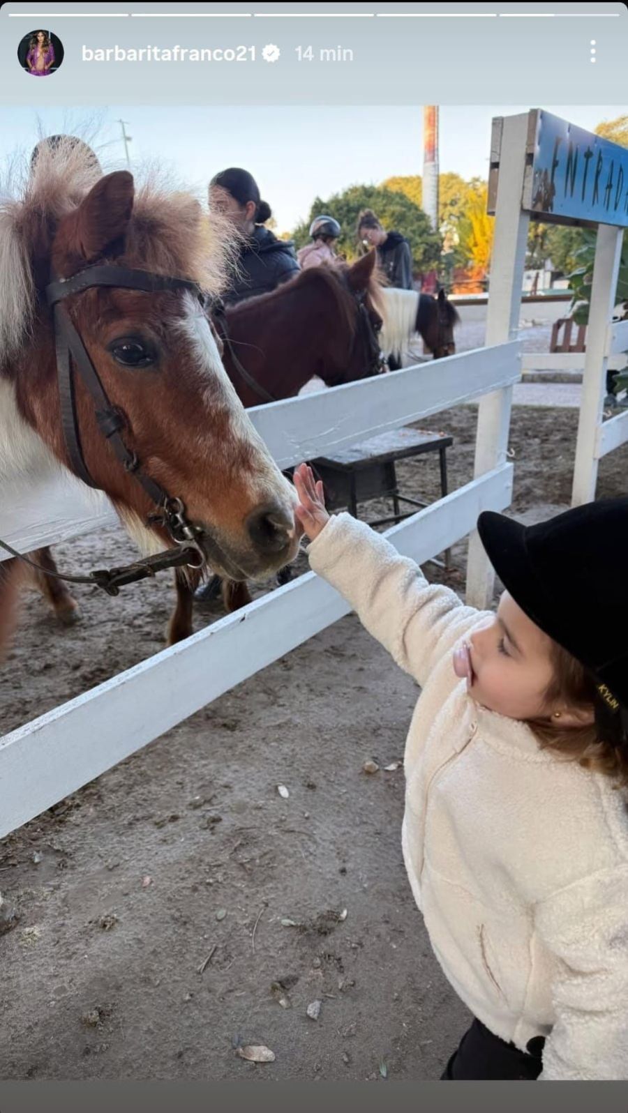 Sarah acariciando a un caballo