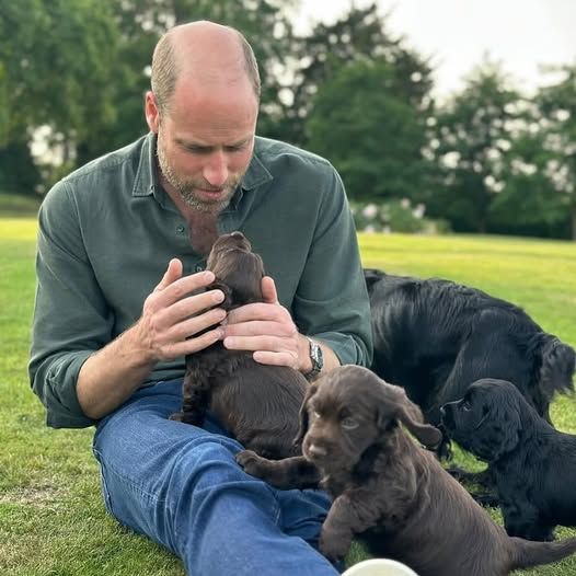 Guillermo con sus cachorros