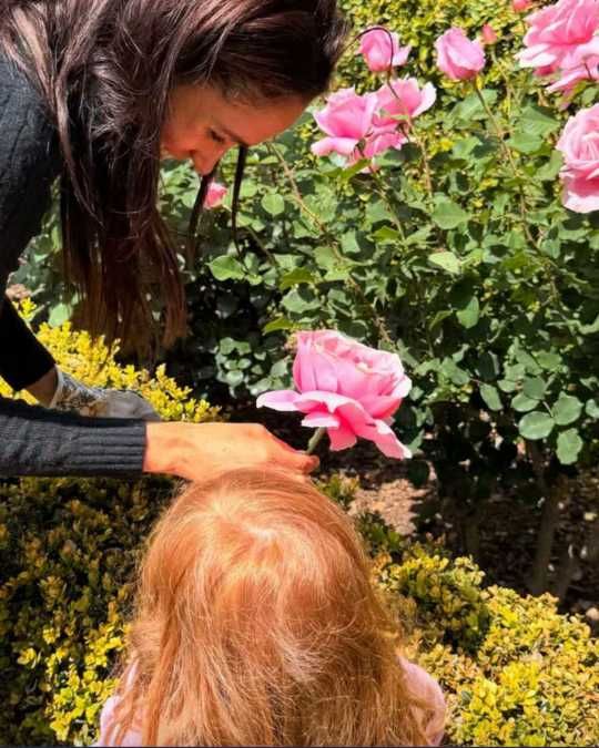 Meghan en su rosal
