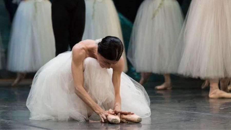 La emoción de Paloma Herrera luego de retirarse 