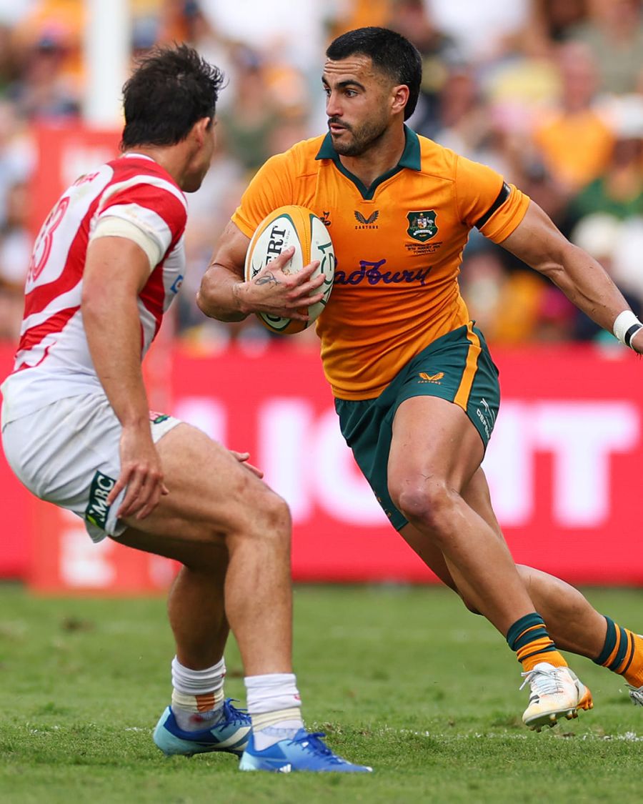 wallabies