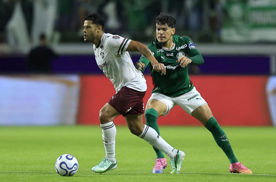 palmeiras flumiensen