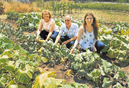 Broccolini, mizuna y kale: las nuevas hortalizas supernutritivas