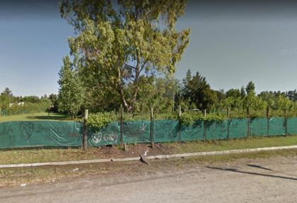 ¿Un león anda suelto en La Plata y Berazategui?