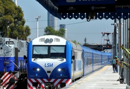 Invasión de piojos de paloma en la línea de trenes San Martín