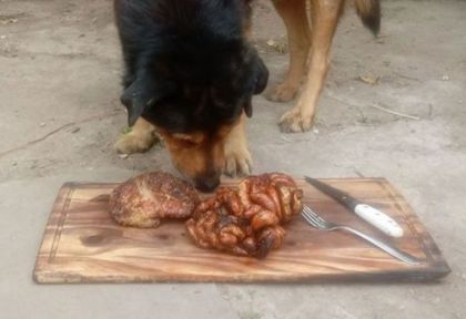 Un policía le festejó el cumpleaños a su perro con un asado y se volvió viral