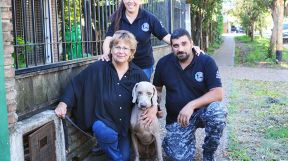 2104_perro_rescate_buscador_silvestro_g.jpg