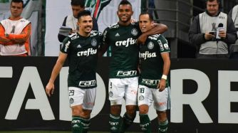 palmeiras_0524