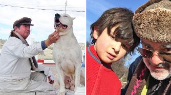 0615_perro_joel_sorin_cedoc_g.jpg