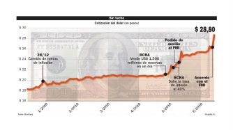Sin techo. Cotización del dólar en pesos. grafico