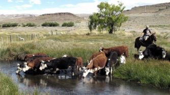 El programa de BPAs tiene como metas principales conservar el suelo, manejar de manera eficiente el agua, innovar tecnológicamente.