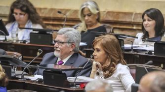La mayoría de mujeres en el Senado ya anticipó su postura sobre el aborto.