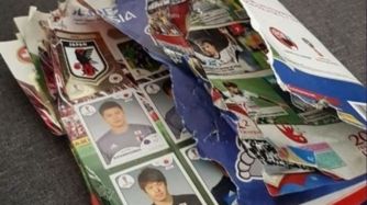Mundial Rusia 2018: el perro le comió el álbum de figuritas