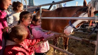 Vacaciones de invierno en la Exposición Rural