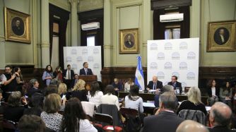 rubinstein senado aborto 20180725
