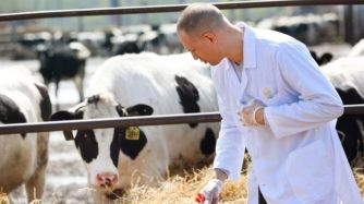 Comprometidos con el mundo animal y su salud desde diferentes ámbitos, pero siempre bregando por su bienestar tanto físico como mental.