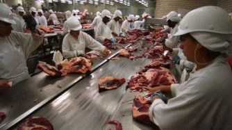 Carne Vacuna