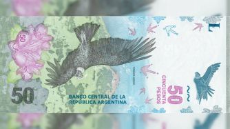 Cómo es el nuevo billete de 50 pesos
