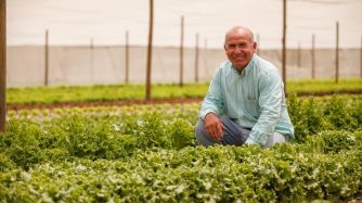 La adquisición del negocio de semillas de hortalizas mejora aún más la oferta global de BASF para los agricultores.