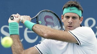 Del Potro Cincinatti g_20180817